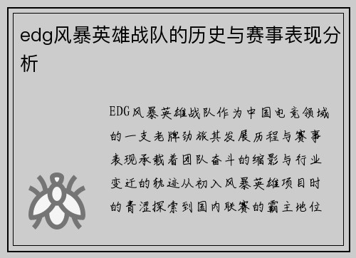 edg风暴英雄战队的历史与赛事表现分析